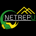 netrepu.com Logo